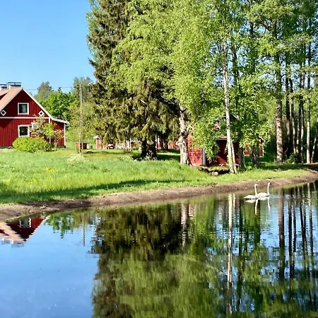 Taikinajoki, Laatulomat * Pertunmaa