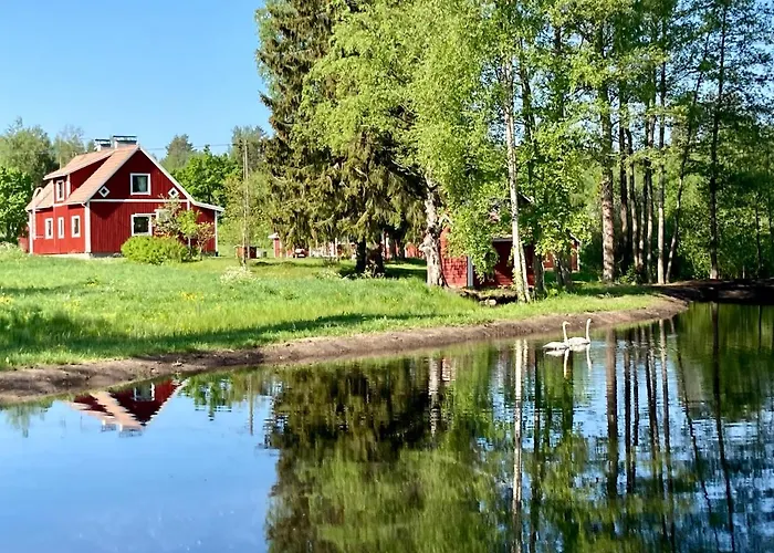 Taikinajoki, Laatulomat * Pertunmaa